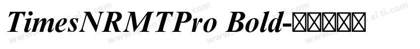 TimesNRMTPro Bold字体转换